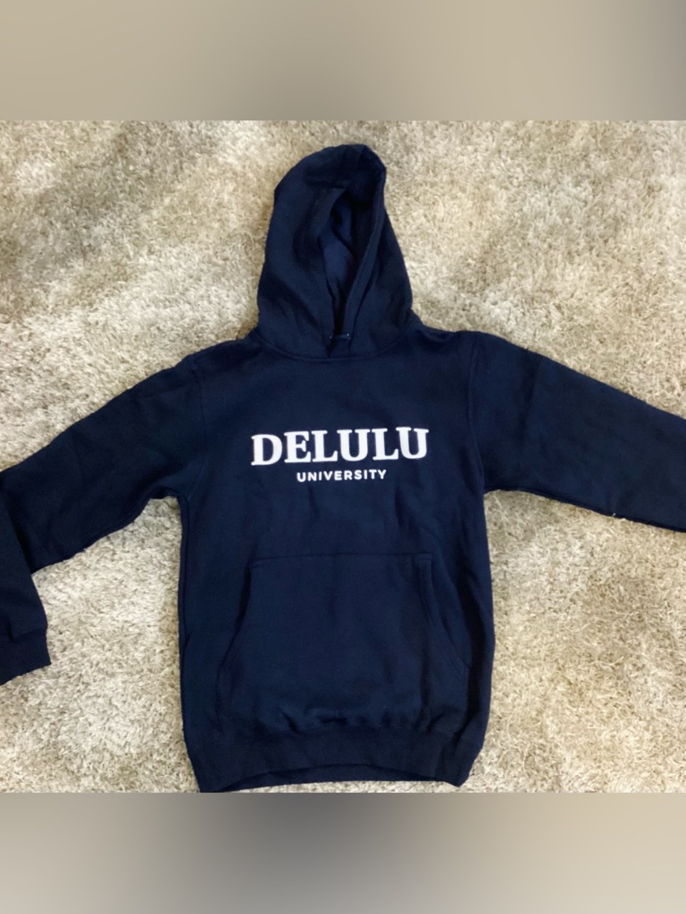 Delulu University Navy Hoodie